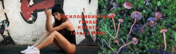 альфа пвп Апатиты