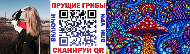Галлюциногенные грибы Magic Shrooms  где купить наркоту  Ярцево 